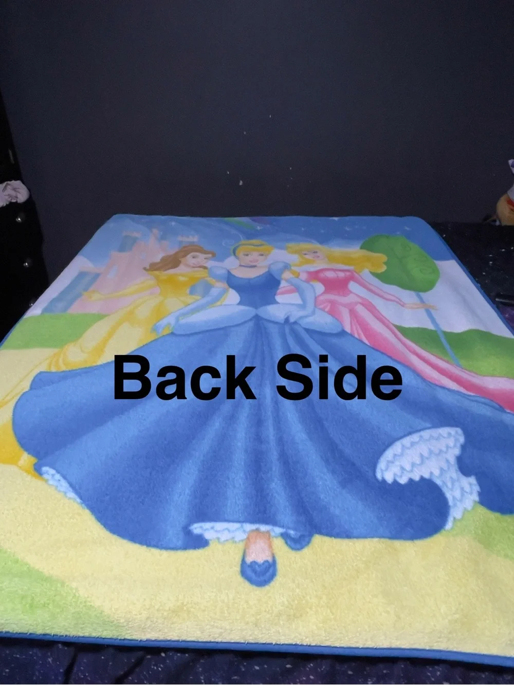 Vintage Disney Princess Fleece Blanket The Northwest Co Y2K